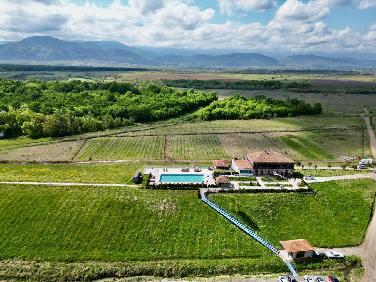 Chateau Vartsikhe Extérieur photo